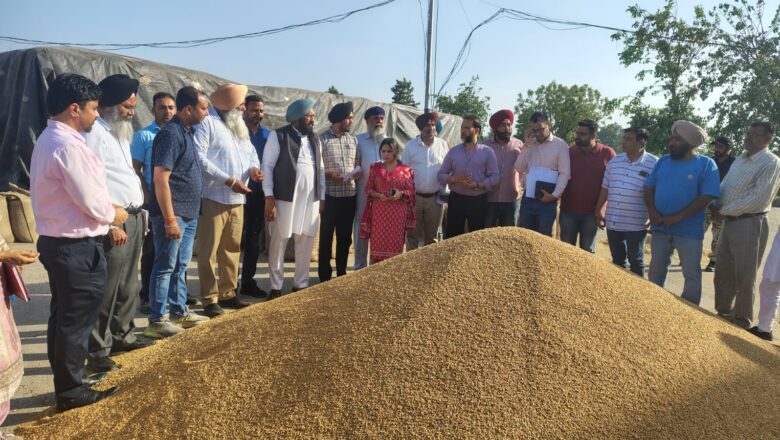 ਪੰਜਾਬ ਸਰਕਾਰ ਕਣਕ ਦਾ ਇਕ-ਇਕ ਦਾਣਾ ਖਰੀਦਣ ਲਈ ਵਚਨਬੱਧ : ਹਲਕਾ ਵਿਧਾਇਕ ਬਲਕਾਰ ਸਿੰਘ 