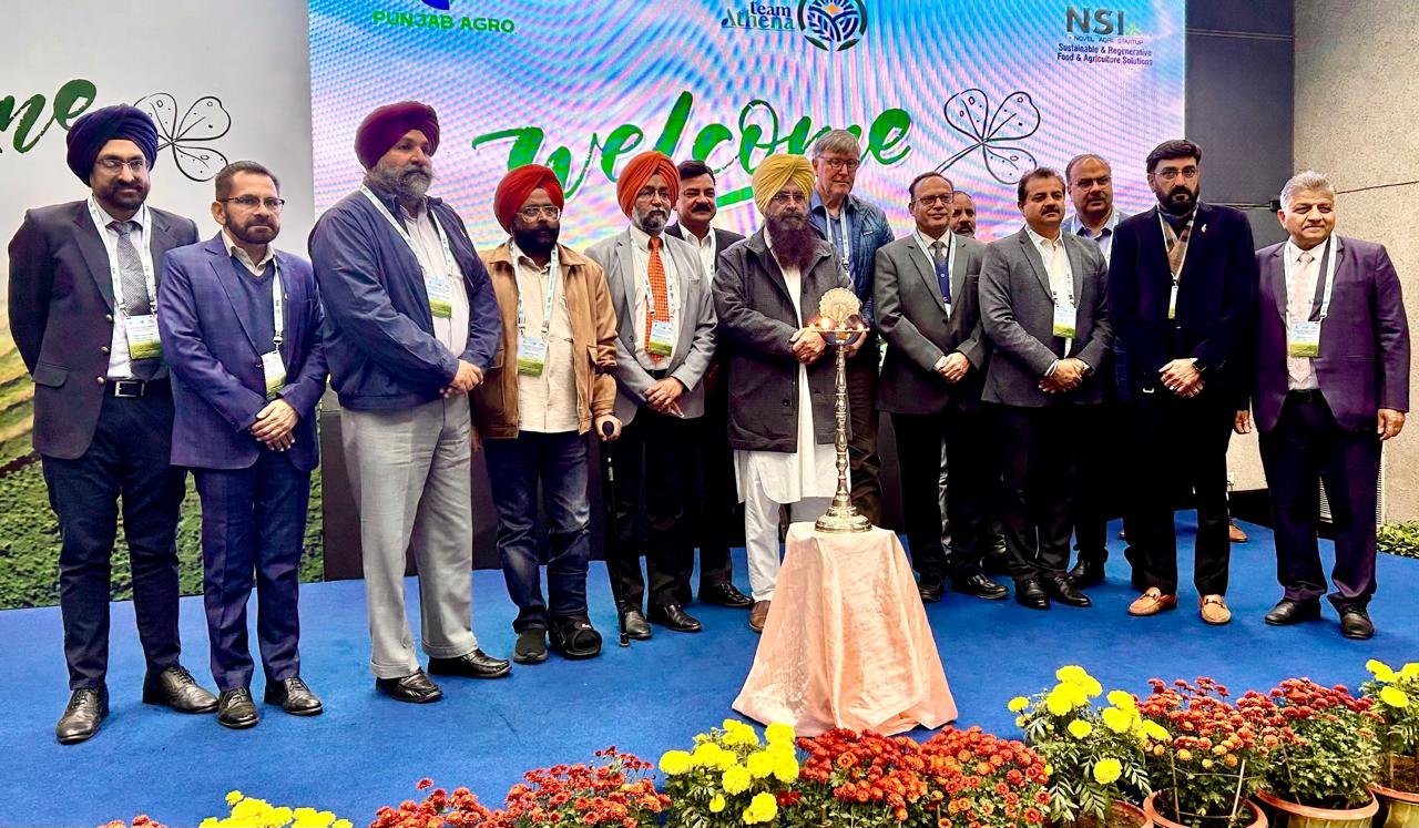 PUNJAB AIMS TO BOOST LIVESTOCK PRODUCTIVITY WITH ALFALFA CULTIVATION