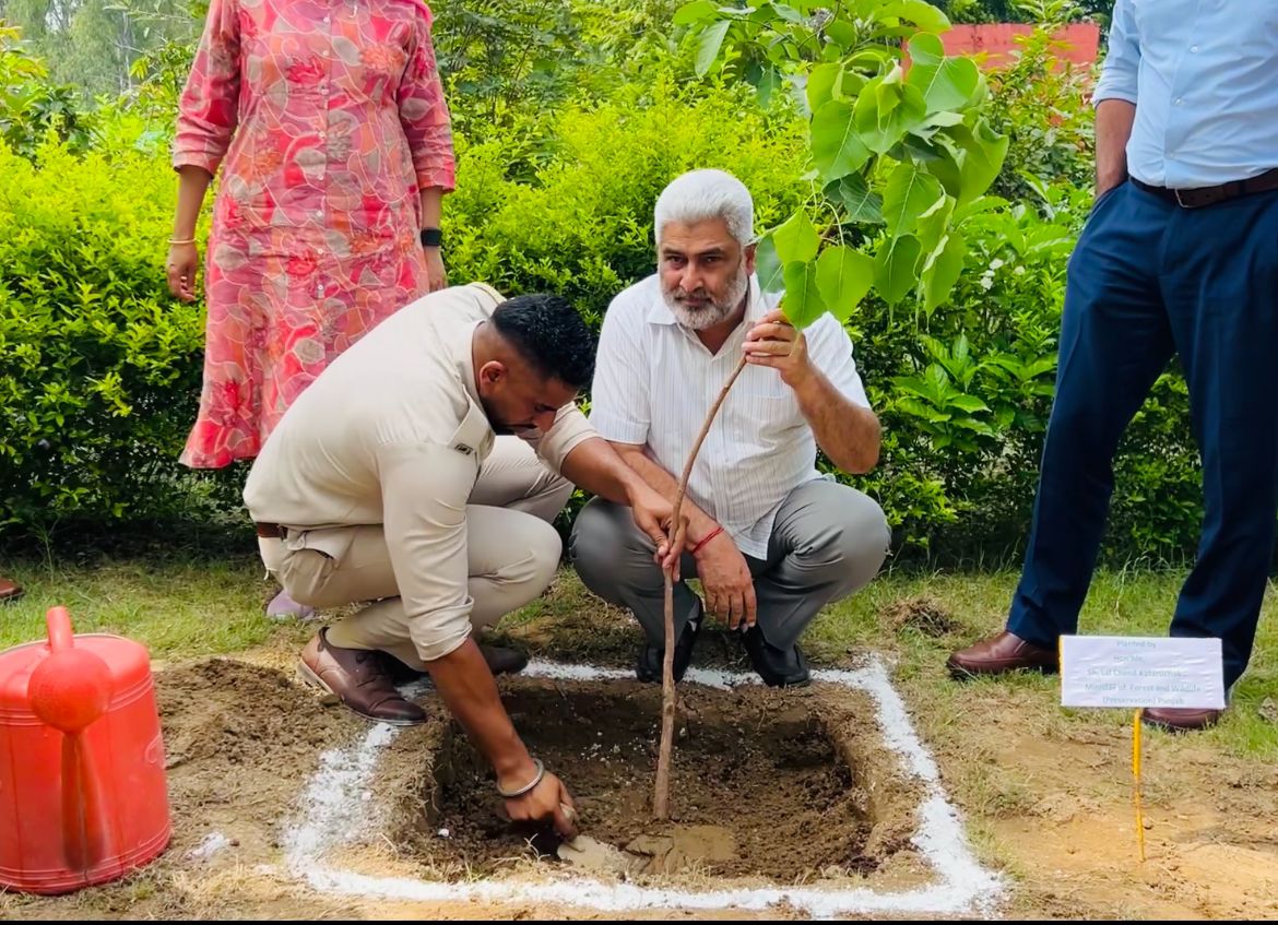 Plantation going full throttle, Forest & Wildlife Preservation Minister Lal Chand Kataruchak hits ground