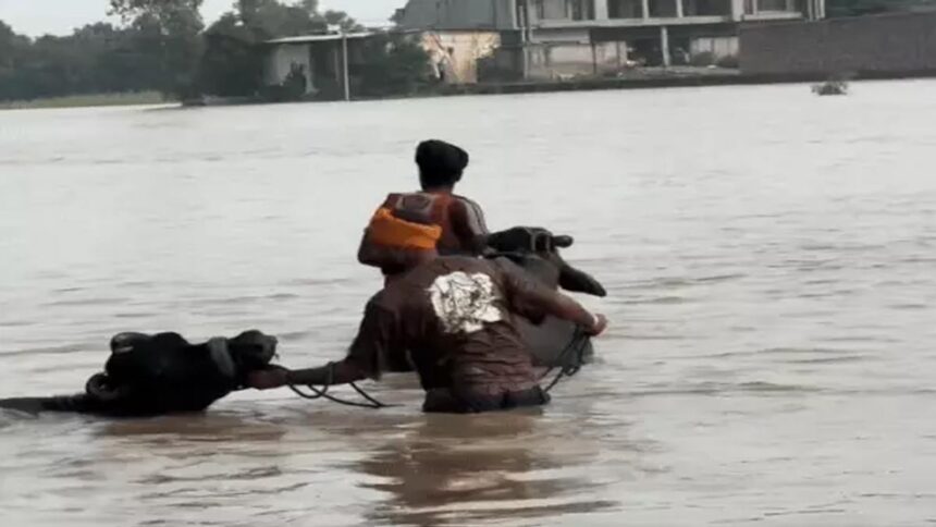 Punjab IAS & PCS Officers to Contribute One Day’s Salary for Flood Relief