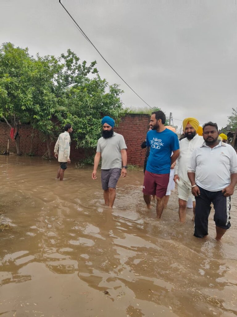 Whatsapp image 2025 09 04 at 7.13.41 pm (1)