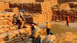 Paddy procurement in acceleration mode, 66679 farmers paid Rs. 1646.47 Crore