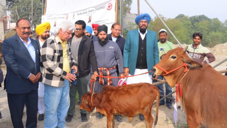 ਗਾਂ ਲੋੜਵੰਦ ਪਰਿਵਾਰਾਂ ਲਈ ਬਣੇਗੀ ਰੁਜ਼ਗਾਰ ਦਾ ਸਾਧਨ -ਧਾਲੀਵਾਲ