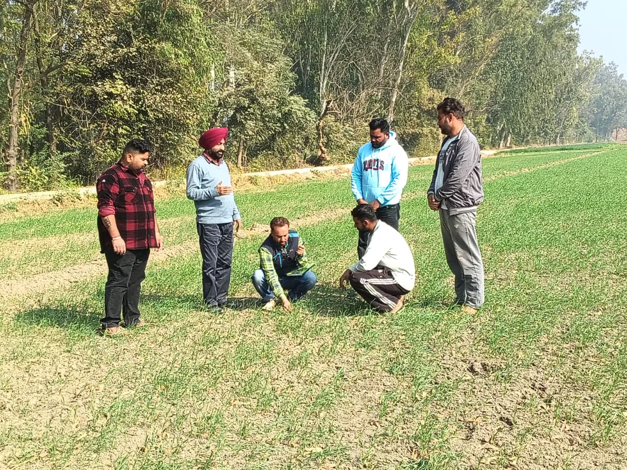 ਮੁੱਖ ਖੇਤੀਬਾੜੀ ਅਫ਼ਸਰ ਵੱਲੋਂ ਪਿੰਡ ਕੋਟੜਾ ਕਲਾਂ, ਭੀਖੀ, ਢੈਪਈ ਤੇ ਜੱਸੜਵਾਲ ਵਿਚ ਕਣਕ ਦੀ ਫ਼ਸਲ ਦਾ ਨਿਰੀਖਣ