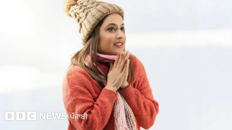 ਕੀ ਤੁਹਾਨੂੰ ਵੀ ਹੋਰਾਂ ਨਾਲੋਂ ਵੱਧ ਠੰਡ ਲੱਗਦੀ ਹੈ? ਸਰੀਰ ਵਿੱਚ ਇਸ ਚੀਜ਼ ਦੀ ਕਮੀ ਹੋ ਸਕਦੀ ਹੈ ਕਾਰਨ – ਜਾਣੋ ਕੀ ਕਹਿੰਦੇ ਹਨ ਡਾਕਟਰ