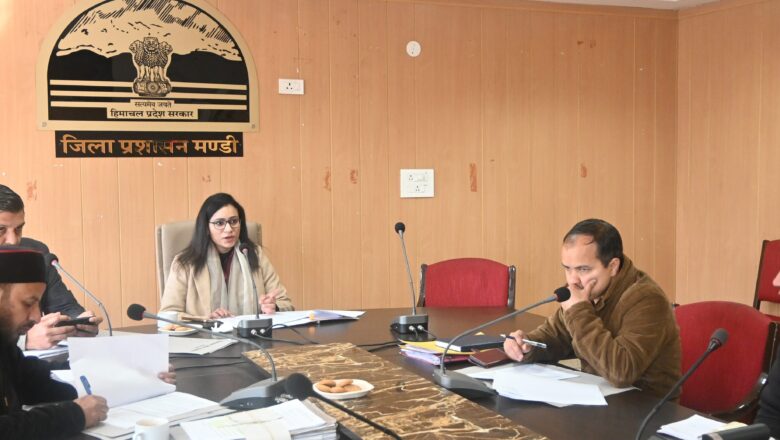 ਬਾਲ ਵਿਕਾਸ ਪ੍ਰੋਜੈਕਟ ਮੰਡੀ ਸਦਰ ਦੀ ਬਲਾਕ ਪੱਧਰੀ ਨਿਗਰਾਨੀ ਕਮੇਟੀ ਦੀ ਮੀਟਿੰਗ ਹੋਈ।