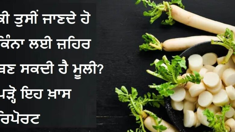 ਸਾਵਧਾਨ! ਜੇ ਚਾਅ ਨਾਲ ਖਾਂਦੇ ਹੋ ਮੂਲੀ ਤਾਂ ਹੋ ਜਾਓ ਰੁਕੋ, ਇਹਨਾਂ 5 ਲੋਕਾਂ ਲਈ ਫ਼ਾਇਦੇਮੰਦ ਨਹੀਂ ਹੈ ਬਲਕਿ ਬਣ ਸਕਦੀ ਹੈ ਜ਼ਹਿਰ