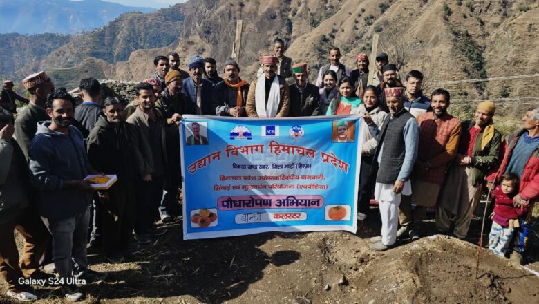 एचपी-शिवा परियोजना के तहत बांधी क्लस्टर में जापानी फल पौधारोपण अभियान शुरू