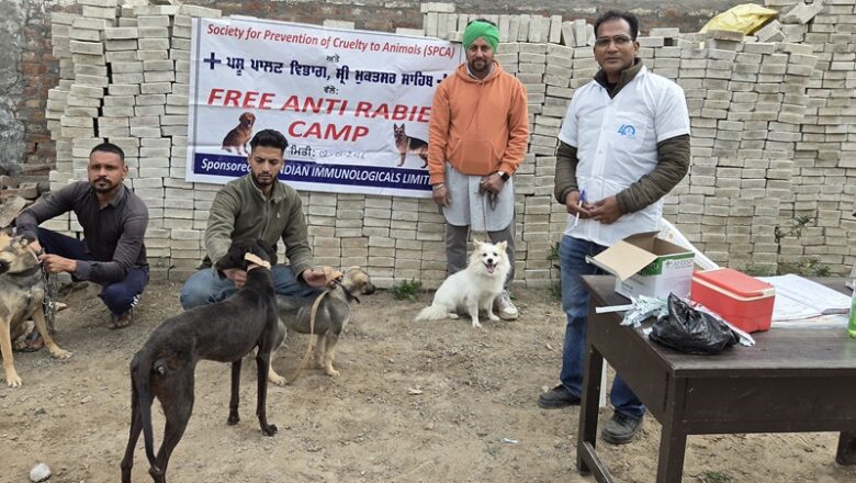 ਹਲਕਾਅ ਤੋਂ ਬਚਾਅ ਲਈ ਕੁੱਤਿਆਂ ਨੂੰ ਕੀਤਾ ਗਿਆ ਮੁਫਤ ਟੀਕਾਕਰਨ
