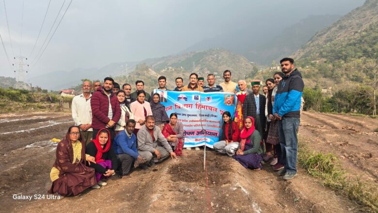 सुंदरनगर के खुराहल और भवाणा में एचपी शिवा प्रोजेक्ट के तहत पौधारोपण और प्रशिक्षण शिविर आयोजित, 19 हैक्टेयर क्षेत्र में रोपित होंगे 11875 पौधे