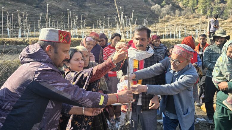 चौहार घाटी के धमच्याण और बड़ी बजगाण क्लस्टर में पौधारोपण अभियान एवं प्रशिक्षण शिविर का आयोजन