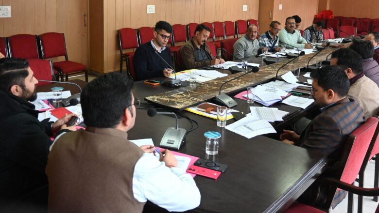 उपायुक्त अपूर्व देवगन ने की ग्रामीण विकास कार्यों की प्रगति  विस्तृत समीक्षा