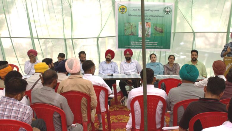 ਨਰਮੇ ਦੀ ਫ਼ਸਲ ਵਿੱਚ ਗੁਲਾਬੀ ਸੁੰਡੀ ਦੀ ਰੋਕਥਾਮ ਬਾਰੇ ਜਾਗਰੂਕਤਾ ਕੈਂਪ ਆਯੋਜਿਤ