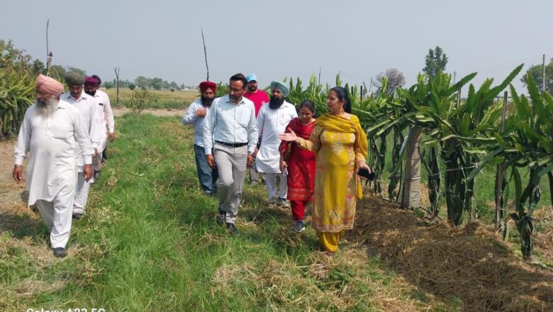 ਪੰਜਾਬ – ਨਾਬਾਰਡ ਵੱਲੋਂ ਵਿੱਤਪੋਸ਼ਿਤ ਪ੍ਰੋਜੈਕਟ  ਦੇ ਤਹਿਤ ਕਿਸਾਨਾਂ ਦਾ ਇੱਕ ਐਕਸਪੋਜ਼ਰ ਦੌਰਾ