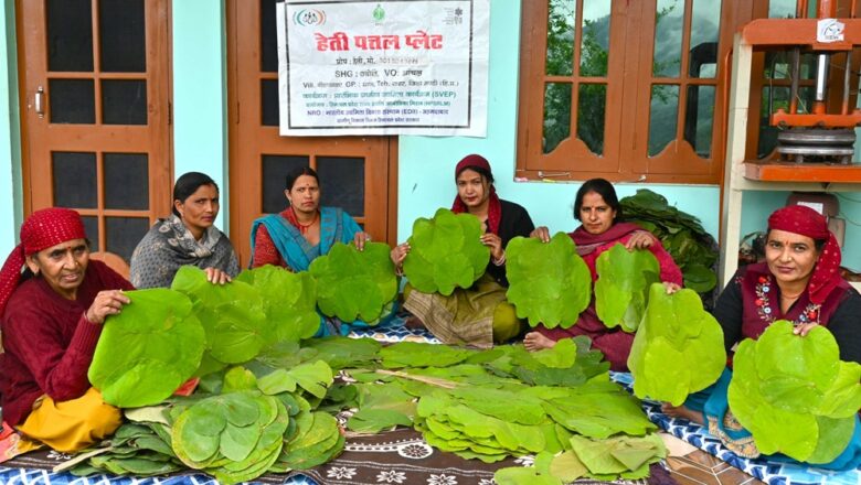 ज्योति स्वयं सहायता समूह बिहनधार की महिलाएं बनी स्वाबलंबी