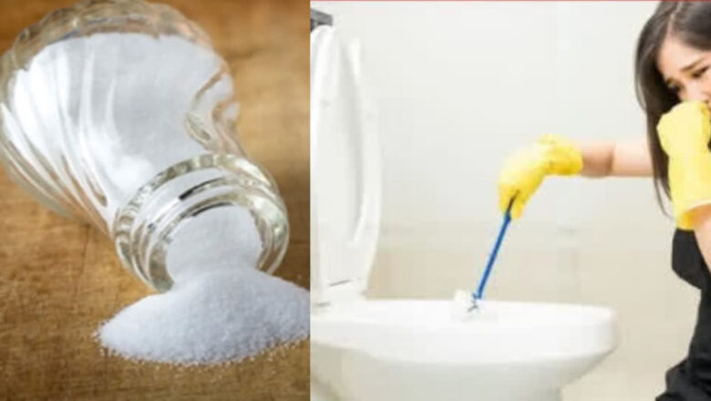 ਕੀ Toilet ਦੀ ਸਫ਼ਾਈ ਲਈ ਲੂਣ ਦਾ ਇਸਤੇਮਾਲ ਕੀਤਾ ਜਾ ਸਕਦਾ? ਜਾਣੋ ਕਿਵੇਂ ਆਏਗੀ ਚਮਕ