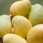 ਰਸਾਇਣਕ ਅਤੇ ਕੁਦਰਤੀ ਤੌਰ ‘ਤੇ ਪੱਕੇ ਹੋਏ ਅੰਬਾਂ ਦੀ ਕਿਵੇਂ ਕਰੀਏ ਪਛਾਣ? ਜਾਣੋ