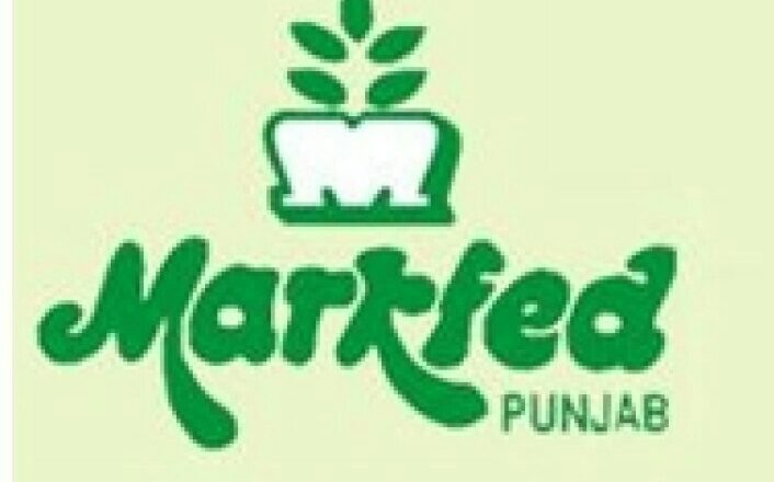 ਮਿਲਕਫੈੱਡ ਪੰਜਾਬ ਵੱਲੋਂ ਦੁੱਧ ਦੀ ਖਰੀਦ ਕੀਮਤ ਵਿੱਚ ਵਾਧਾ