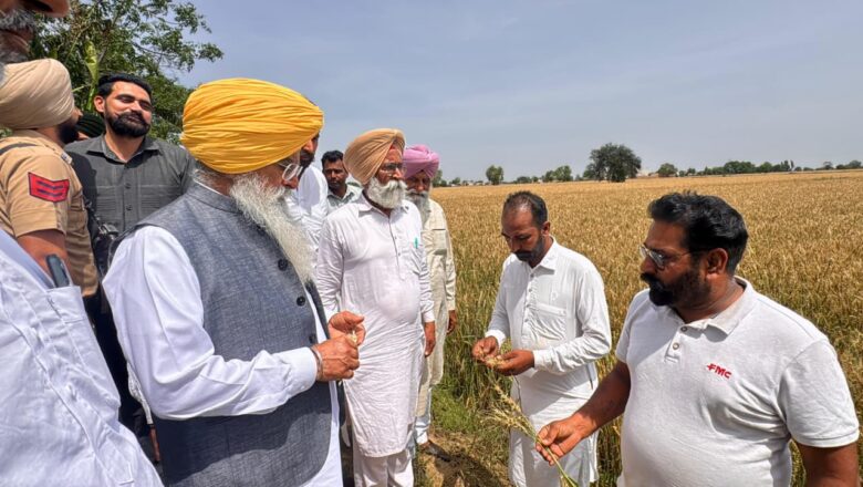 ਖੇਤੀਬਾੜੀ ਮੰਤਰੀ ਨੇ ਪਿੰਡ ਚੰਨੂ ਵਿਖੇ ਹੋਏ ਫਸਲਾਂ ਦੇ ਨੁਕਸਾਨ ਦਾ ਲਿਆ ਜਾਇਜ਼ਾ