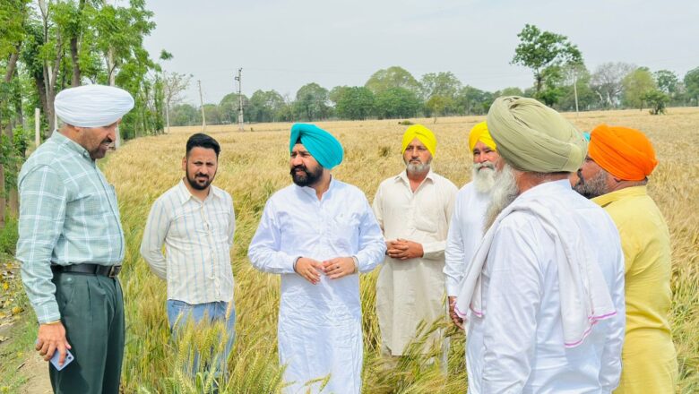 ਵਿਧਾਇਕ ਗੁਰਪ੍ਰੀਤ ਸਿੰਘ ਬਣਾਂਵਾਲੀ ਵੱਲੋਂ ਸਰਦੂਲਗੜ੍ਹ ਦੇ ਗੜੇਮਾਰੀ ਪ੍ਰਭਾਵਿਤ ਪਿੰਡਾਂ ਦਾ ਦੌਰਾ