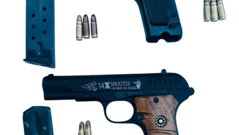 ਵਿਦੇਸ਼-ਅਧਾਰਤ ਗੈਂਗਸਟਰਾਂ ਦੇ ਚਾਰ ਸਾਥੀ ਦੋ ਪਿਸਤੌਲਾਂ ਸਮੇਤ ਗ੍ਰਿਫ਼ਤਾਰ