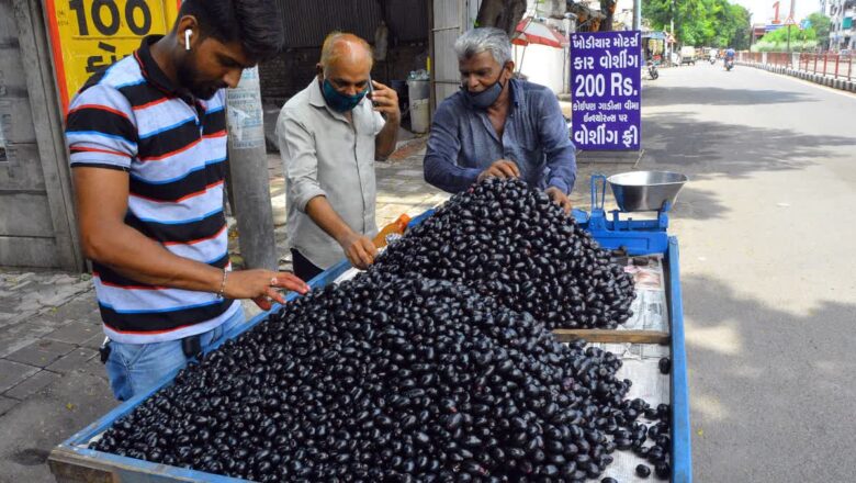 ਮਹਿੰਗੇ ਫਲਾਂ ਨਾਲੋਂ ਗਰਮੀਆਂ ਵਿੱਚ ਜਾਮੁਨ ਖਾਣਾ ਹੋ ਸਕਦਾ ਫਾਇਦੇਮੰਦ, ਵਜ੍ਹਾਂ ਜਾਣ ਰਹਿ ਜਾਓਗੇ ਹੈਰਾਨ