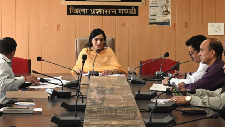पराशर का तीन दिवसीय सरनाहुली मेला 14 जून से होगा शुरू
