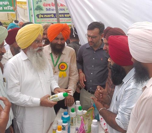 ਖੇਤੀ ਨੂੰ ਲਾਹੇਵੰਦ ਧੰਦਾ ਬਣਾਉਣ ਲਈ ਸੂਬਾ ਸਰਕਾਰ ਦੇ ਉਪਰਾਲੇ ਲਗਾਤਾਰ ਜਾਰੀ: ਗੁਰਮੀਤ ਸਿੰਘ ਖੁੱਡੀਆਂ
