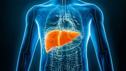 Signs of Liver Damage: ਸੱਜੇ ਮੋਢੇ ਦੇ ਦਰਦ ਤੋਂ ਲੈ ਕੇ ਲਗਾਤਾਰ ਥਕਾਵਟ ਤੱਕ, ਇਹ ਲੱਛਣ ਨਾ ਕਰੋ ਨਜ਼ਰਅੰਦਾਜ਼